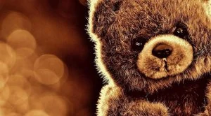 bear names
