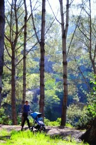 best all terrain stroller review